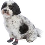originals-PHO-PRO-DOG-CLIP-PHO-PRO-DOG-CLIP-19500-19501-19502-19503-19504-19505-19506-1--SALL--AWK--V1--1-.jpg