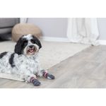 originals-PHO-PRO-DOG-PHO-PRO-DOG-19500-19501-19502-19503-19504-19505-19506-4--SALL--AWK--V1.jpg
