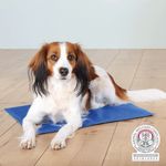 208336-PHO-PRO-DOG-28683-28687-2.jpg