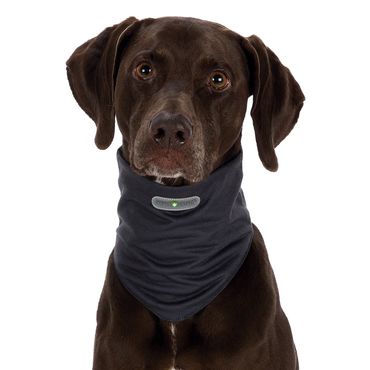 Trixie Insect Shield® Dog Loop Halsumfang: 50 cm (L) grau
