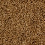 csm-sera-Discus-Color-Nature-Detail-335fc5b640.jpg