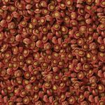 csm-sera-Koi-Professional-Fruehjahr-Herbstfutter-Detail-816f4e1206.jpg