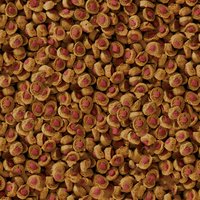 csm-sera-Koi-Professional-Sommerfutter-Detail-fafc16c537--1-.jpg csm-sera-Koi-Professional-Sommerfutter-Detail-fafc16c537--1-.jpg