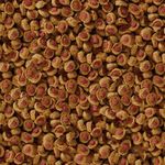 csm-sera-Koi-Professional-Sommerfutter-Detail-fafc16c537.jpg