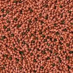 csm-sera-Koi-Junior-All-Seasons-Probiotic-Detail-7c504765ec.jpg