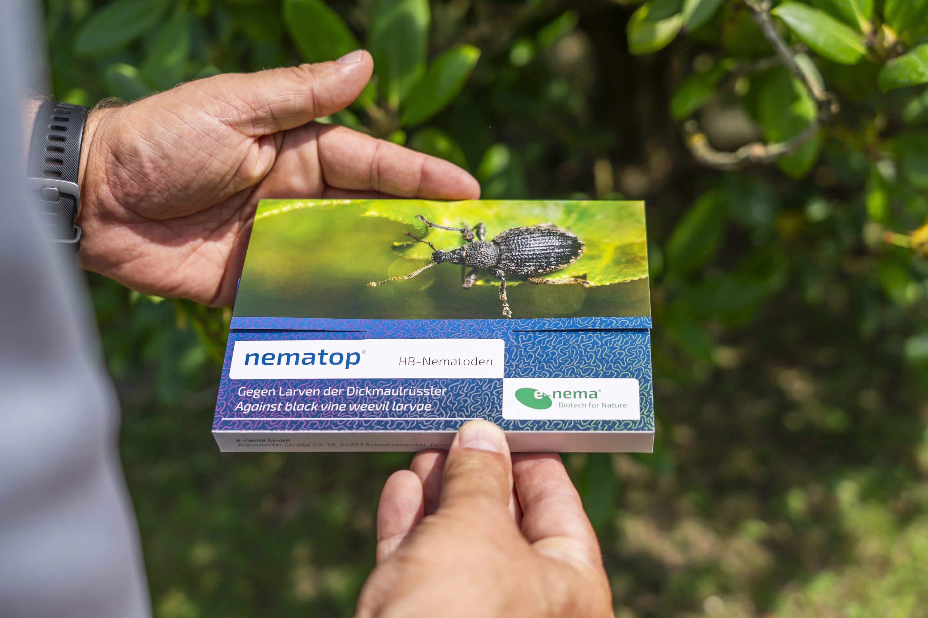 nematop HB Nematoden gegen Dickmaulrssler 6 Mio. | meingartencenter24.de -  Garten Online Shop & Weber Grill Store