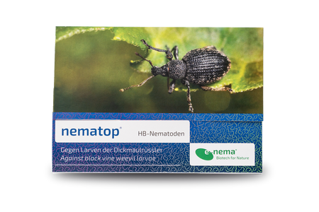 nematop HB Nematoden gegen Dickmaulrüssler 6 Mio.