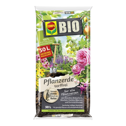 cbioga-50-de-png.png cbioga-50-de-png.png