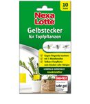 3809-nexalotte-gelbstecker-4062700838099.jpg