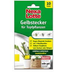 3809-nexalotte-gelbstecker-4062700838099.jpg 3809-nexalotte-gelbstecker-4062700838099.jpg