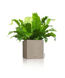 getfile--60-.jpg getfile--60-.jpg