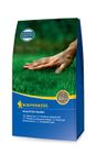 KI651500---0-Kiepenkerl-Schatten-Rasen-2kg.jpg