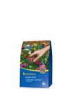 KI651708---0-Kiepenkerl-Blumen-Wiese-250g.jpg