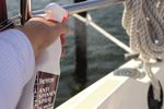 4031396019280-yachticon-anti-spinnen-spray-2.jpg