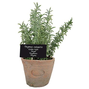 Esschert Kunst-Thymian in Aged Terracotta Topf L