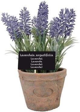 Esschert Kunst-Lavendel in Aged Terracotta Topf L