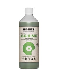 Alg--A--Mic-1L.jpg Alg--A--Mic-1L.jpg