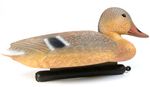 ente2.jpg