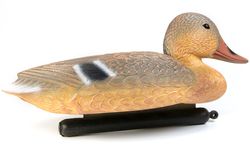 ente2.jpg ente2.jpg