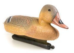ente3.jpg ente3.jpg