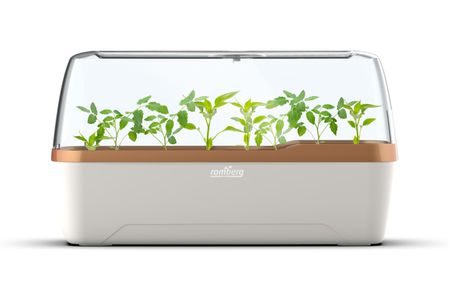 Romberg BOQUBE Gewächshaus & Pflanzkasten-System 41x17x23cm mit Belüftung creme/kupfergold