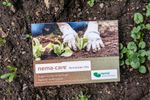 4108407-EN1313020-nema-care-Nematoden-gegen-Schaedlinge-im-Gemuesebeet-2-x-10-Mio-.jpg