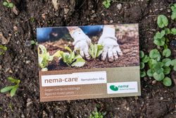 4108407-EN1313020-nema-care-Nematoden-gegen-Schaedlinge-im-Gemuesebeet-2-x-10-Mio-.jpg 4108407-EN1313020-nema-care-Nematoden-gegen-Schaedlinge-im-Gemuesebeet-2-x-10-Mio-.jpg