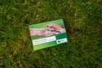 4108408-EN1201075-nema-green-HB-Nematoden-gegen-Maikaefer-75-Mio-.jpg