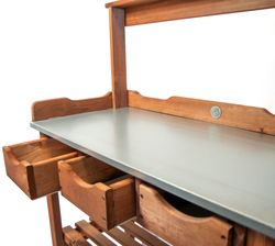 mgc24-pflanztisch3.jpg mgc24-pflanztisch3.jpg