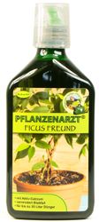 Schacht-Ficus-Freund.jpg Schacht-Ficus-Freund.jpg