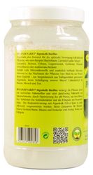 Schacht-Algenkalk-Bacillus2.jpg Schacht-Algenkalk-Bacillus2.jpg