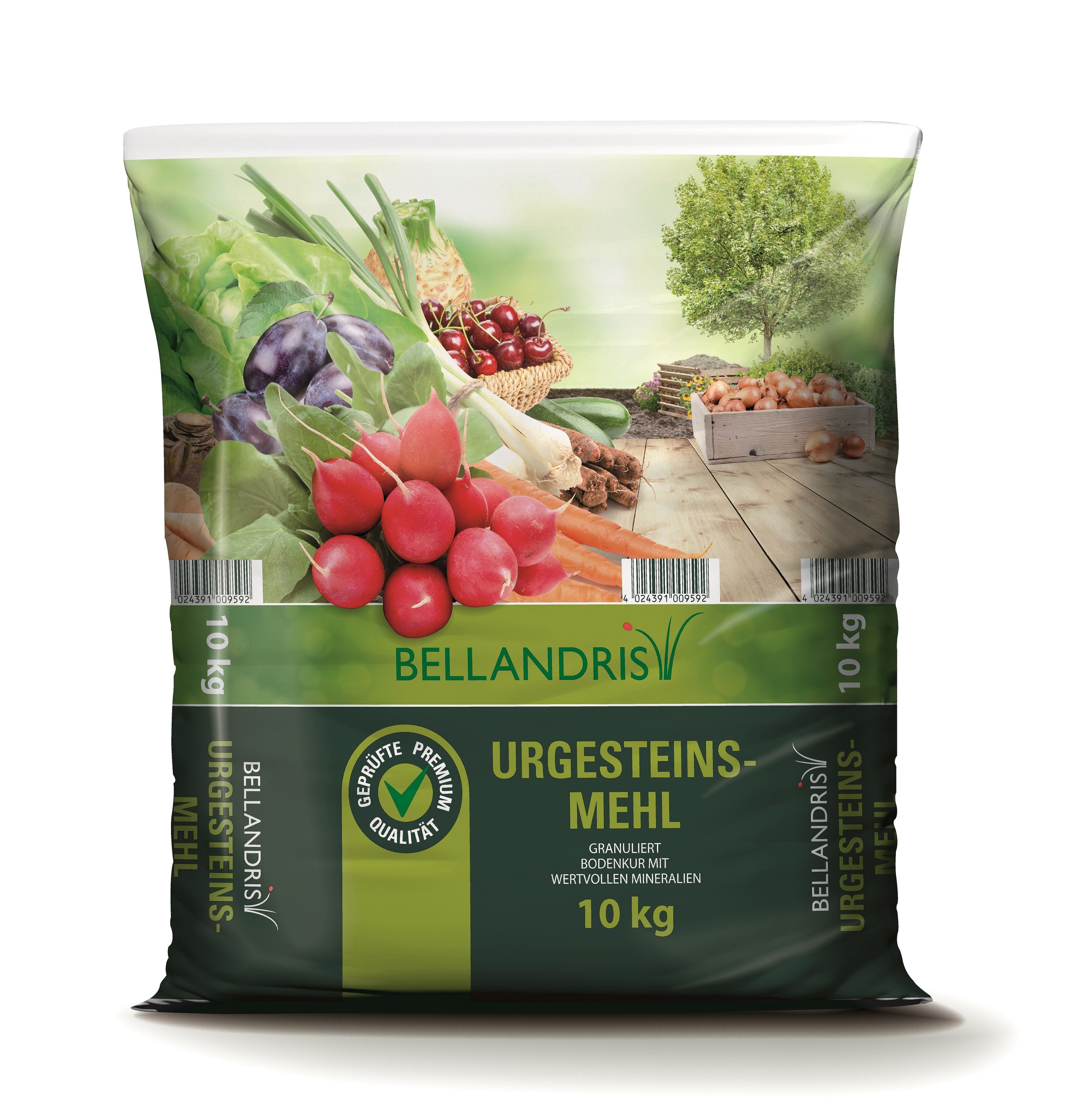 grne zimmerpflanzen dickblatt Dickblatt kaufen  Mein schner Garten Shop