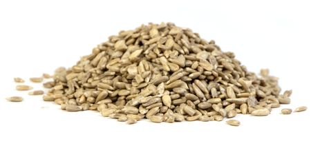 mgc24 Wildvogelfutter Sonnenblumenkerne geschält 10kg