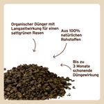 8856-substralnaturen-rasendngerbio-4062700888568-awb-1.jpg