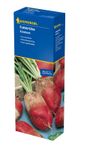 KI615915---0-Kiepenkerl-Futterrueben-Eckdorot-200g.jpg