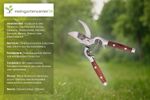 4110178-MGC0296-mgc24-Gartenschere---Rosenschere-Edelstahl.jpg