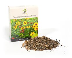 sommerblumenmischung2.jpg sommerblumenmischung2.jpg
