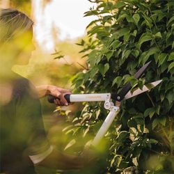 1026931-FiskarsEMEA-02-white-hedge-shear.jpg 1026931-FiskarsEMEA-02-white-hedge-shear.jpg