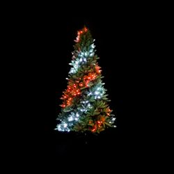 TWT400STP-CandyCane.jpg TWT400STP-CandyCane.jpg