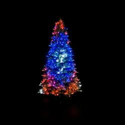 TWT400STP-ShootingStar.jpg TWT400STP-ShootingStar.jpg