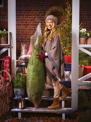 weihnachtsbaum-online-kaufen.jpg weihnachtsbaum-online-kaufen.jpg