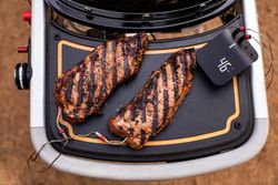 Traveler-NY-Strip-3-C-rgb-Weber-Traveler-Gasgrill.jpg Traveler-NY-Strip-3-C-rgb-Weber-Traveler-Gasgrill.jpg