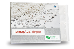 4112796-EN1302222-nemaplus-depot-praeventive-Trauermueckenbekaempfung.png 4112796-EN1302222-nemaplus-depot-praeventive-Trauermueckenbekaempfung.png