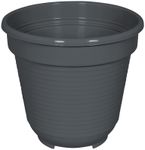 80601038-M.jpg