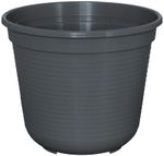 80601838-M.jpg