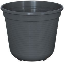 80601838-M.jpg 80601838-M.jpg