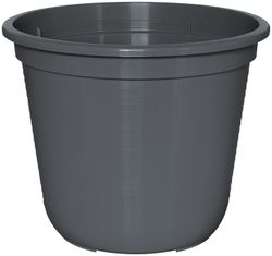 80604538-M.jpg 80604538-M.jpg