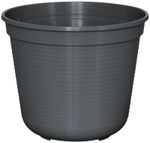 80602838-M.jpg