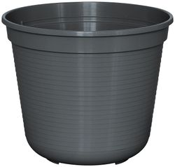 80602838-M.jpg 80602838-M.jpg