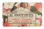 6641-09-Medlar-und-Jujube-837524002452.jpg